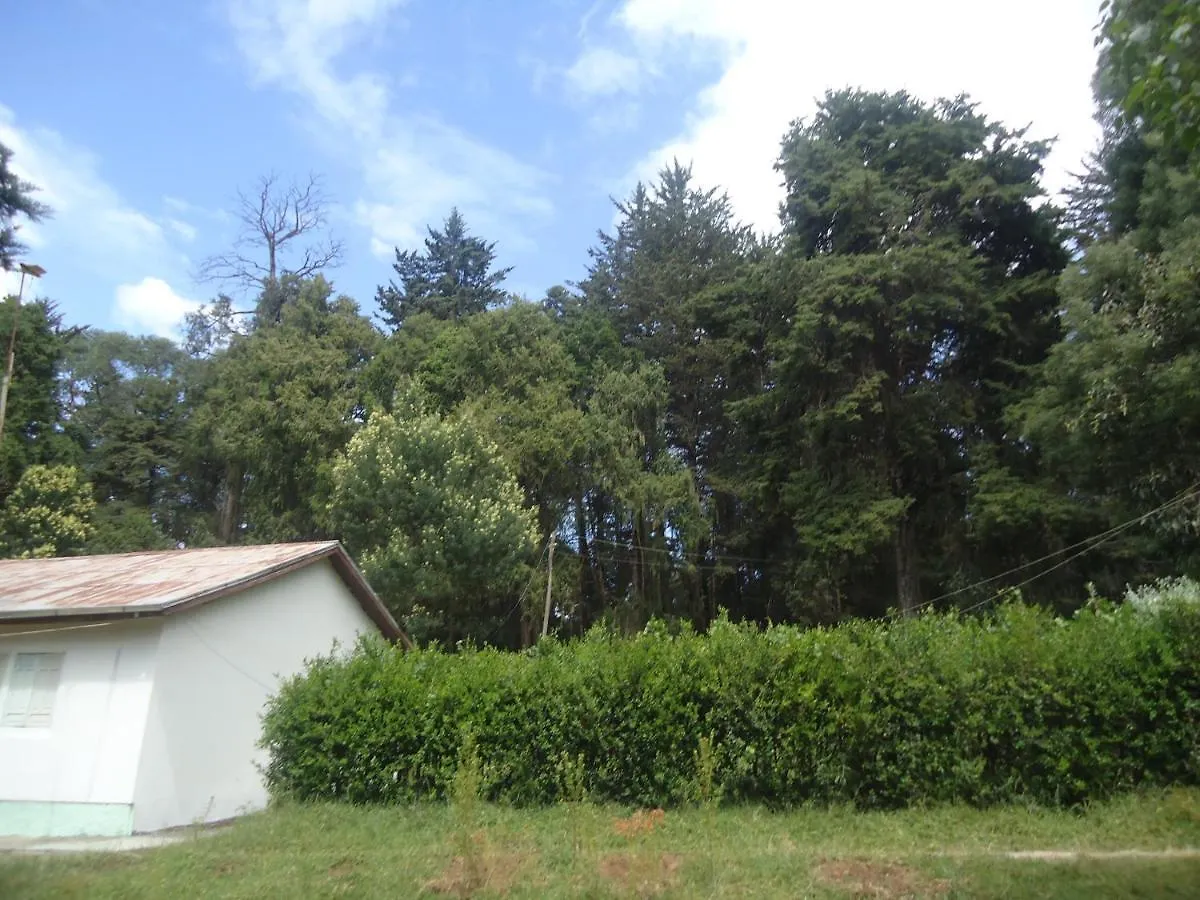 Suba Menagesha Forest location