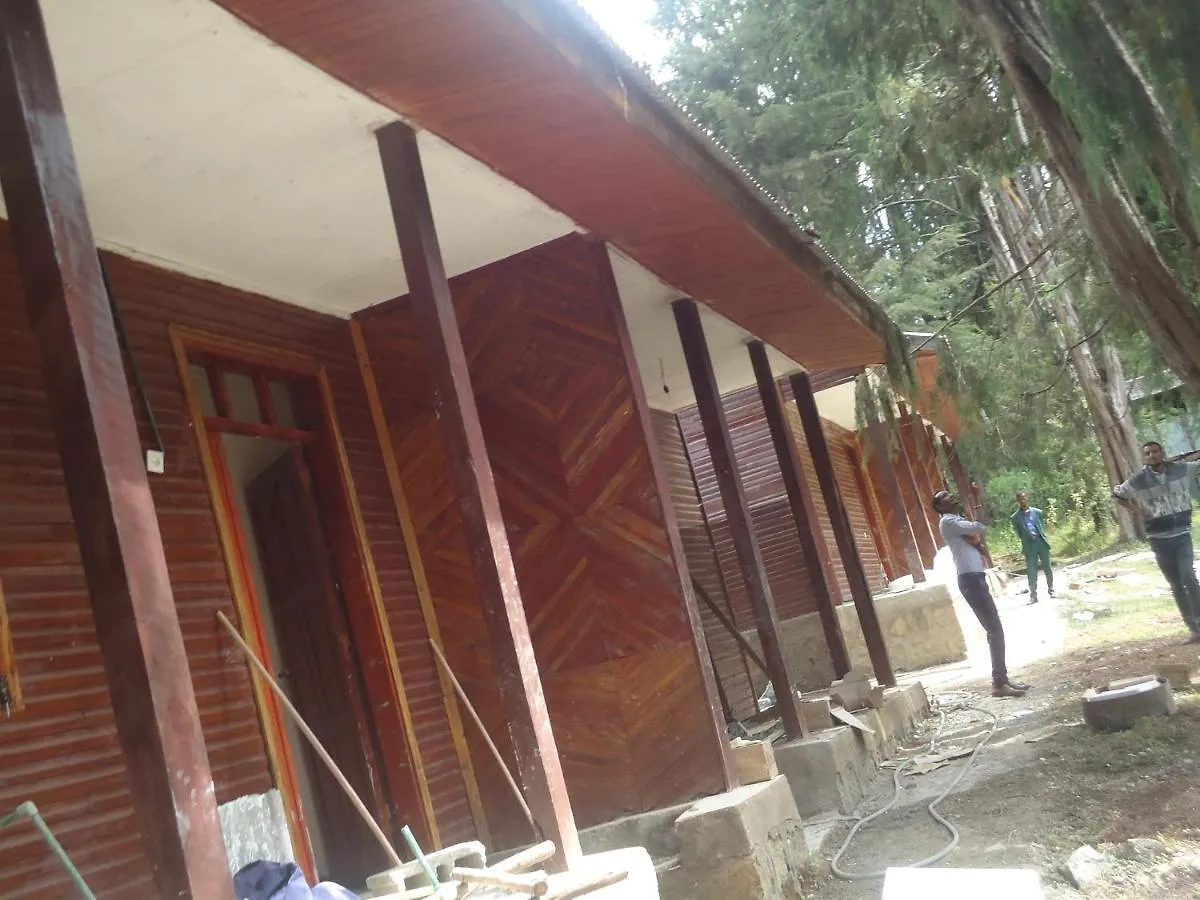 Suba Menagesha Forest Hotel Addis Ababa