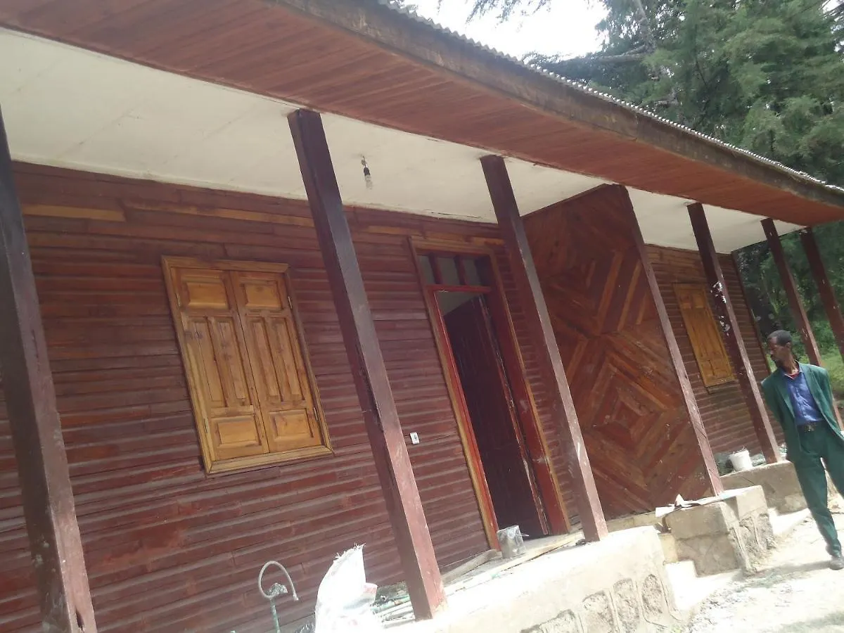 Suba Menagesha Forest Hotel Addis Ababa